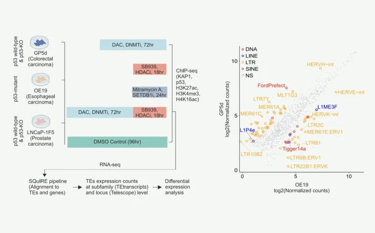 Figure 1 from the research paper