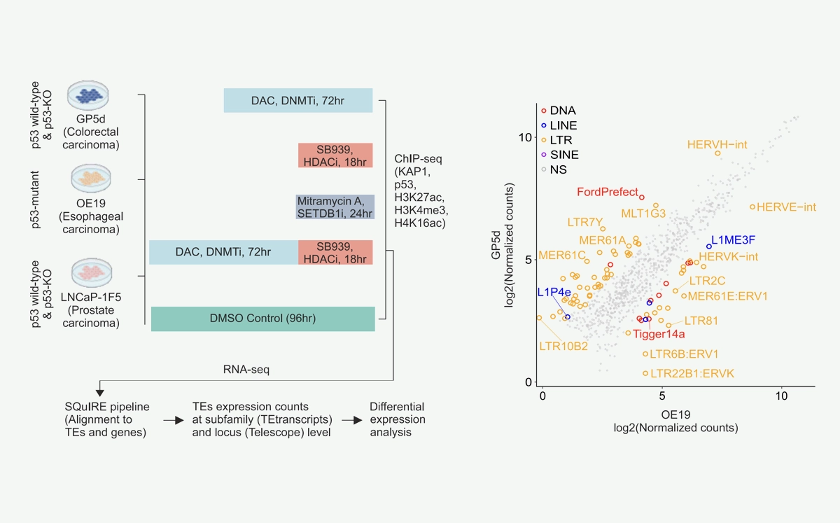 Figure 1 from the research paper