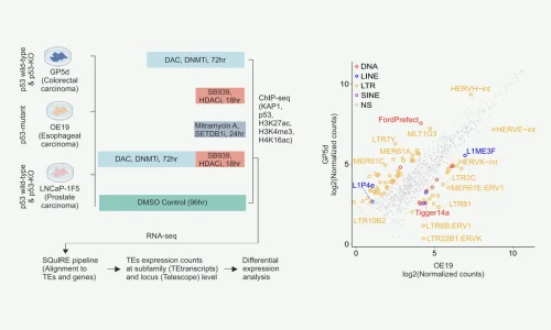 Figure 1 from the research paper